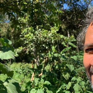 Marcos Palmeira desenvolve projeto de recuperação da Mata Atlântica na Fazenda Vale das Palmeiras, em Teresópolis, com espécies nativas como jequitibá e palmito-jussara
