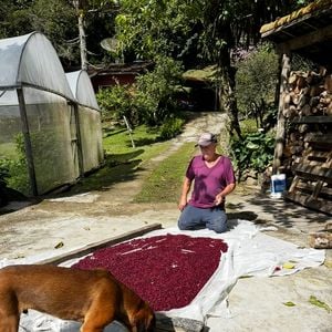 Marcello Novaes também conta com cultivo próprio de feijões e itens de horta, como verduras e legumes