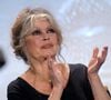Brigitte Bardot morreu em dezembro de 2025, dois meses após passar por cirurgia às pressas: causa da morte não foi revelada