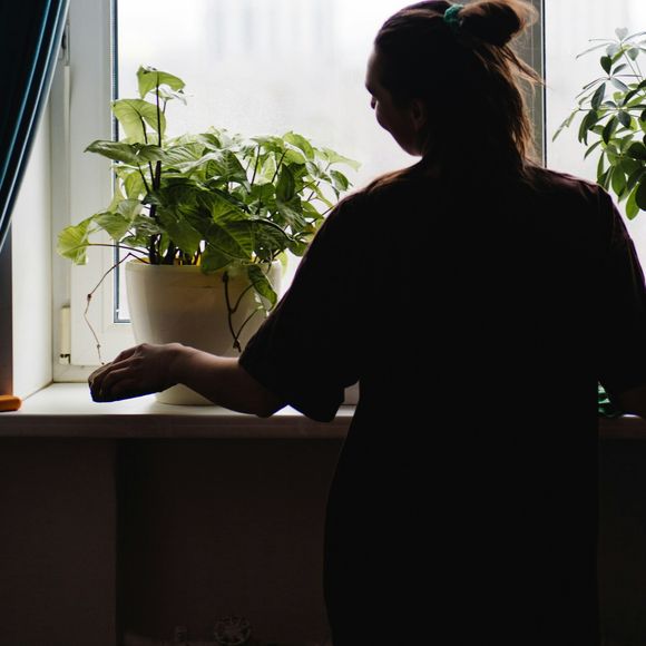 Os estudos mostraram que os efeitos de quem tem planta em casa, foram mais positivos, se comparados àqueles que não possuíam qualquer vegetação.