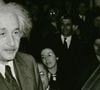 Einstein refletiu sobre os benefícios da dieta vegetariana tanto para a saúde dos humanos quanto pela preservação dos animais