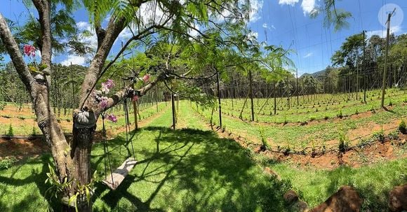 Com cerca de 3 mil metros quadrados, a propriedade se tornou o ponto de partida para um projeto que une natureza, agricultura e empreendedorismo.