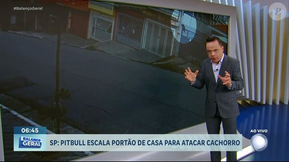 A Record TV exibiu reportagens sobre futebol, diabetes, feriado com chuvas e até um pitbull que escalou o portão de uma casa ao longo da manhã