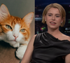 Favorita ao Oscar de Melhor Atriz, Jessie Buckley odeia gatos? Declaração da atriz de 'Hamnet' e 'A Noiva!' vira polêmica e irlandesa abre o jogo: 'Me incomodou'