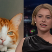 Favorita ao Oscar de Melhor Atriz, Jessie Buckley odeia gatos? Declaração da atriz de 'Hamnet' e 'A Noiva!' vira polêmica e irlandesa abre o jogo: 'Me incomodou'