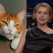 Favorita ao Oscar de Melhor Atriz, Jessie Buckley odeia gatos? Declaração da atriz de 'Hamnet' e 'A Noiva!' vira polêmica e irlandesa abre o jogo: 'Me incomodou'