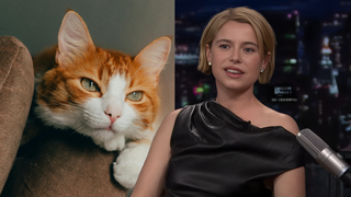 Favorita ao Oscar de Melhor Atriz, Jessie Buckley odeia gatos? Declaração da atriz de 'Hamnet' e 'A Noiva!' vira polêmica e irlandesa abre o jogo: 'Me incomodou'