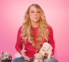 Chef particular, jatinho privado, camas premium e bifes orgânicos: os cachorros de Mariah Carey tiveram férias milionárias no luxuoso The Paw Seasons, hotel cinco estrelas para pets