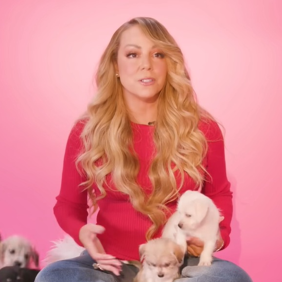 Chef particular, jatinho privado, camas premium e bifes orgânicos: os cachorros de Mariah Carey tiveram férias milionárias no luxuoso The Paw Seasons, hotel cinco estrelas para pets