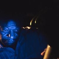 Azul da Prússia: o que é o pigmento usado em 'Emergência Radioativa'? Criado no século XVIII, ele virou remédio atravessa séculos entre arte e ciência