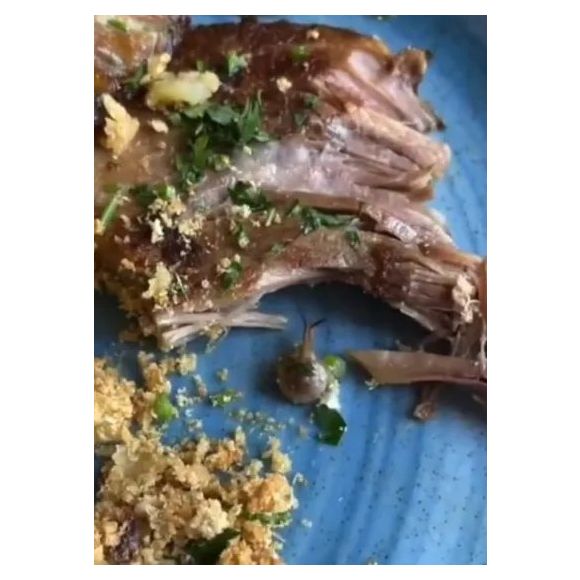 Cliente registra caramujo vivo em prato servido no restaurante Sal, de Henrique Fogaça