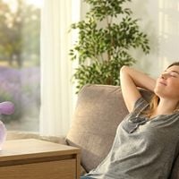 Qual cheiro acalma a ansiedade? Um raio-X de 4 perfumes com lavanda, camomila e notas 'zen' para se sentir mais calma; o preferido de Kate Middleton está na lista