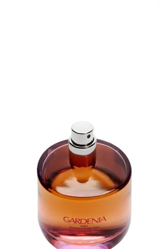 Custo-benefício atrativo impulsiona popularidade de fragrância da Zara que virou assunto entre diferentes gerações