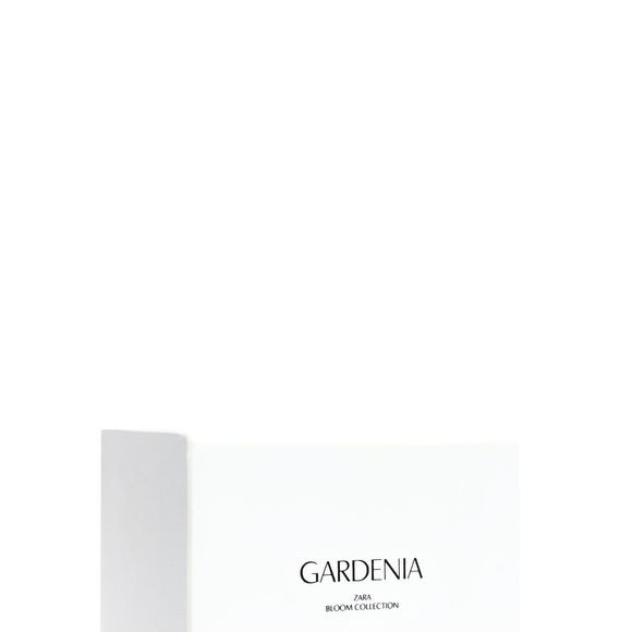 Até o fechamento desta matéria, o perfume Gardenia (Zara) estava disponível no site da marca pelo valor de R$ 119,00 no frasco de 90 ml, reforçando o apelo de custo-benefício que também contribui para sua popularidade