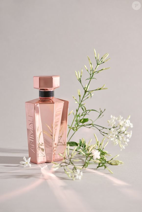 Animale Seduction For Woman (Animale) - 30ml | R$ 263,00 - aposta em uma combinação floral frutada sedutora que mistura cassis, toranja e framboesa logo na abertura