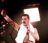 Segundo o Daily Mail, a biógrafa Lesley-Ann Jones afirma ter provas de DNA que confirmariam que Freddie Mercury é o pai de Bibi