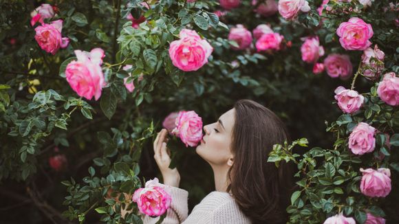 Jasmim, Orquídea, Rosa ou Violeta: escolha sua flor favorita e te indicamos um perfume ideal para usar na primavera 2025