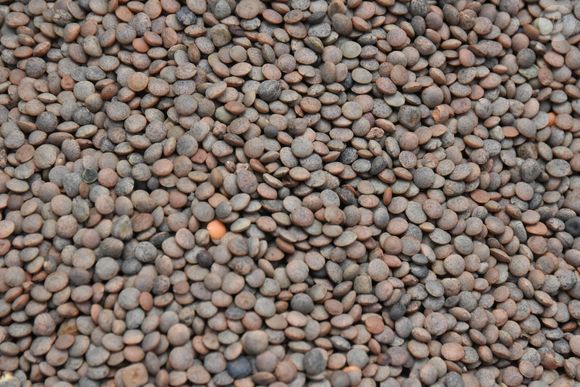 Lentilha favorece a oxigenação do sangue, prevenindo o cansaço e a anemia. Por controlar o colesterol, ela equilibra os níveis de açúcar no sangue e promove saciedade, ajudando no emagrecimento saudável