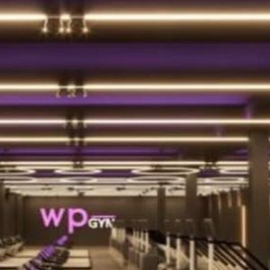 Virgínia Fonseca anunciou a abertura de uma academia de luxo, a WP Gym. O empreendimento, localizado em Goiânia, deve ser inaugurado em novembro