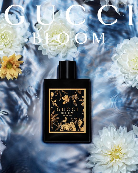 Perfume feminino Gucci Bloom Parfum tem notas olfativas criam rastro quente e radiante da fragrância