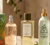 Tangerina, capim-limão, chá verde, bergamota e ervas estão entre as notas que caracterizam os três perfumes nacionais citados como alternativas para mulheres na menopausa que apreciam aromas refrescantes. Da fragrância cítrica da L’Occitane au Brésil à combinação floral e amadeirada de Tania Bulhões e às notas herbais da Avatim, as opções podem trazer conforto olfativo nos dias de calor, sem substituir os cuidados indicados para os fogachos