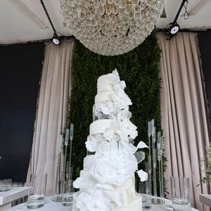 Bolo de casamento de Davi Brito e Emilly Araújo teve 2,5 metros de altura e pesou 50 quilo