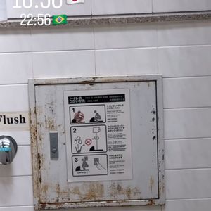 Virginia Fonseca mostrou mais detalhes a respeito do banheiro no Japão.