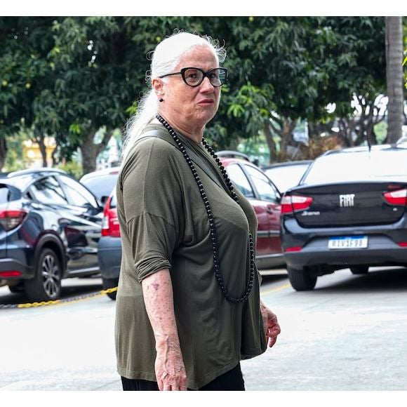 Vera Holtz vai voltar às novelas na continuação de 'Avenida Brasil'