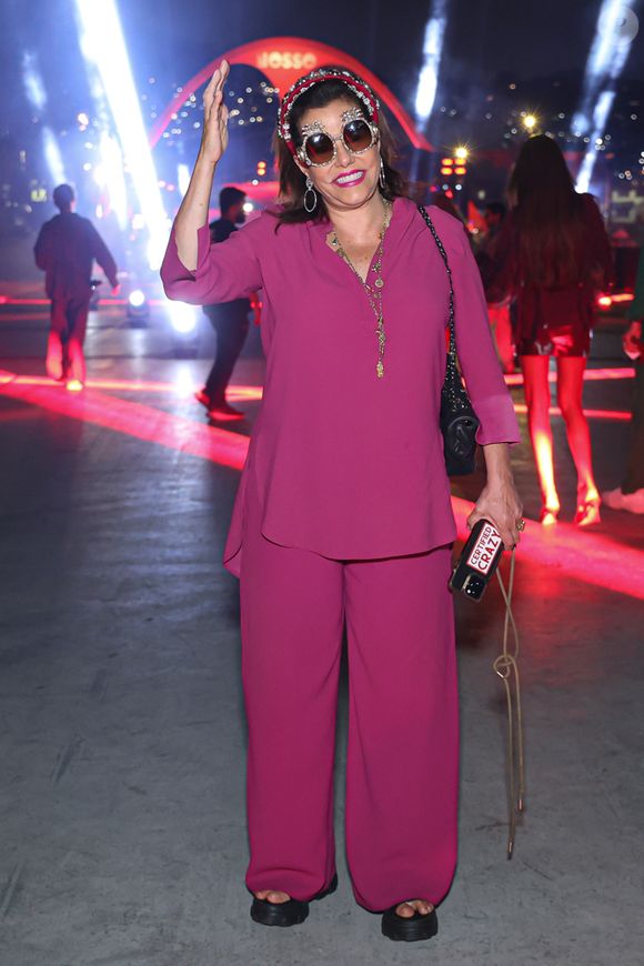 Narcisa Tamborindeguy definiu como surto a atitude do advogado: ‘Não sei o que deu nele. Que eu saiba, ele não estava drogado; acho que nasceu assim…’