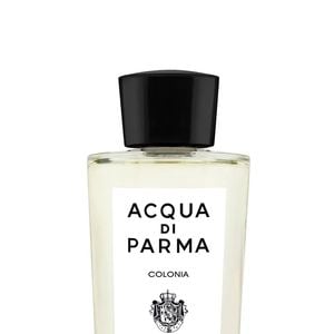 Acqua Di Parma é o perfume é a tradução da sofisticação italiana com toques cítricos e lavanda, ideal para os dias mais casuais