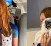 A memória dos gatos é mais complexa do que imaginamos e está intimamente ligada aos estímulos sensoriais, especialmente aos cheiros e aos sons
