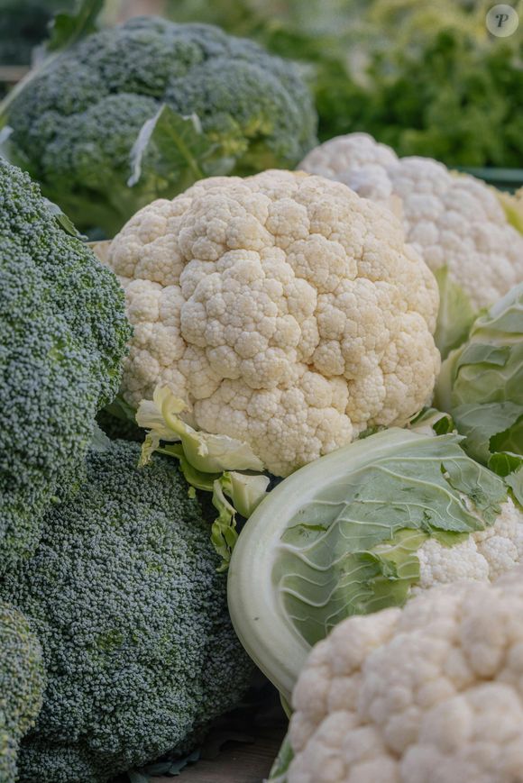 As fibras oferecem proteção contra bactérias intestinais resistentes, o que ajuda a prevenir doenças