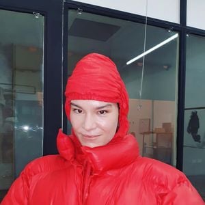 Os criminosos que se passavam por Luiza Lemmertz alegaram uma emergência e que a primogênita da atriz precisaria de dinheiro para arcar com o conserto de um celular