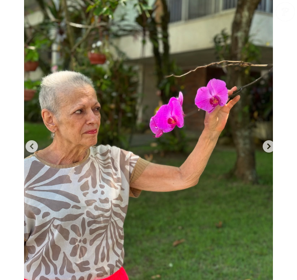 A mãe de Mouhamed Harfouch, gostava de Carnaval, especialmente da Portela