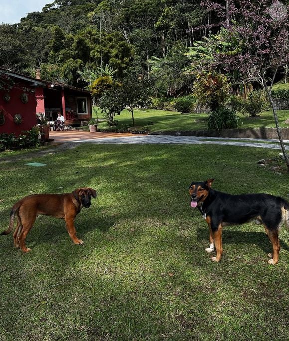 Marcello Novaes mora isolado e o vizinho mais próximo está localizado a 800m de distância