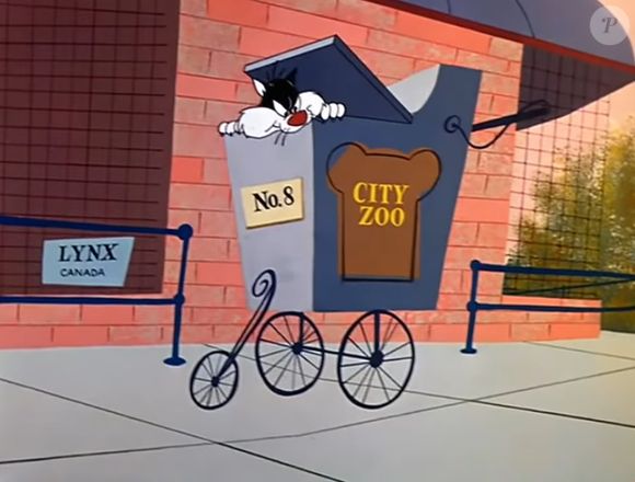 Nicolas Prattes lembrou dos personagens icônicas dos desenhos animados Piu-Piu e Frajola - o passarinho sempre é alvo dos planos inusitados do gato para comê-lo