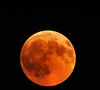 Visível em toda a América Latina, inclusive no Brasil, a Lua de Sangue também poderá ser observada na América do Norte, Central e Sul, além da Europa Ocidental e África Ocidental, segundo a Nasa inferiu.