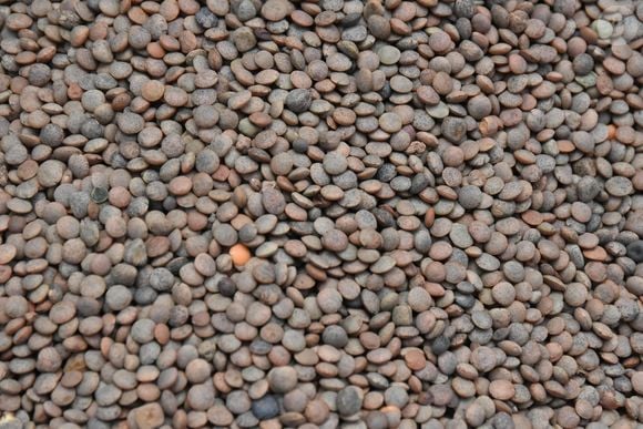 Consideradas um amuleto de abundância, elas representam crescimento, multiplicação de recursos e fluidez energética.