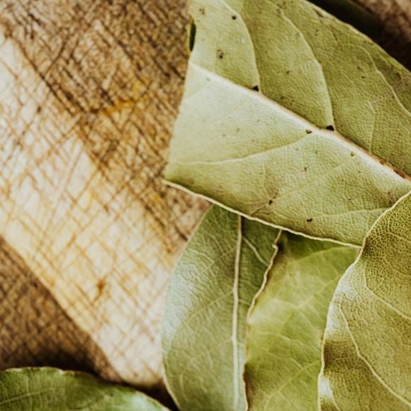 Para espantar as baratas, basta colocar algumas folhas secas em cantos estratégicos, como atrás de móveis, dentro da despensa e perto de ralos