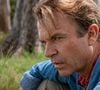 'Era uma porcaria': poucos lembram, mas Steven Spielberg foi o culpado por um detalhe em 'Jurassic Park' que rendeu duras críticas a Sam Neill
