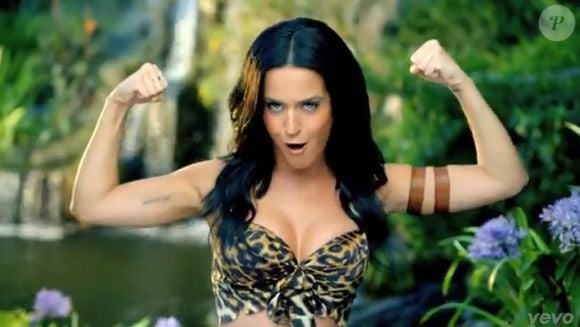 Em abril de 2021, Katy Perry se juntou a outros 35 artistas brasileiros e norte-americanos em uma carta enviada ao então presidente dos Estados Unidos, Joe Biden, pedindo que ele não fechasse um acordo ambiental com o governo de Jair Bolsonaro antes de uma redução efetiva do desmatamento na Amazônia, conforme reportagem da Folhapress