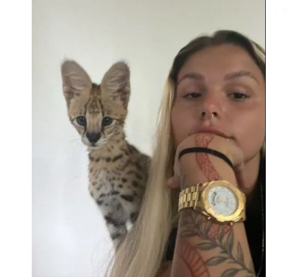 MC Oruam e a namorada, Fernanda Lavença, estão criando um gato da raça Savannah F1