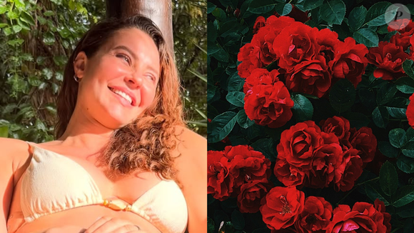 O delivery de 12 mil rosas vermelhas para Paolla Oliveira: descubra quem enviou o extravagante presente para a atriz, agora solteira