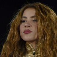 Shakira absolvida de fraude fiscal milionária: a reação de Ministro da Cultura da Espanha à decisão da Justiça. 'Todos que trabalham e vivem neste país devem cumprir suas obrigações tributárias'
