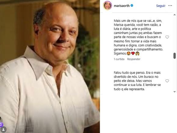 Marisa Orth também foi defendida por amigos em post polêmico e político