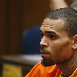 No processo, Chris Brown alegou que a mulher provocou seu cachorro e, por isso, foi atacada. O animal foi sacrificado em seguida
