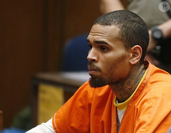 No processo, Chris Brown alegou que a mulher provocou seu cachorro e, por isso, foi atacada. O animal foi sacrificado em seguida