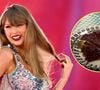 Bolo de chocolate sem glúten e sem lactose: a receita favorita de Taylor Swift é baixa em calorias e cabe na dieta