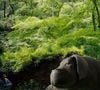 Apesar do boicote, "Okja" se tornou a quarta maior bilheteria na Coreia do Sul
