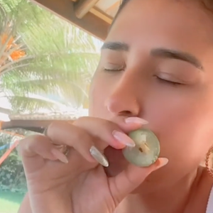 Fruto do umbuzeiro, o umbu é uma fruta redonda, pequena e verde que se destaca por seu sabor doce e refrescante